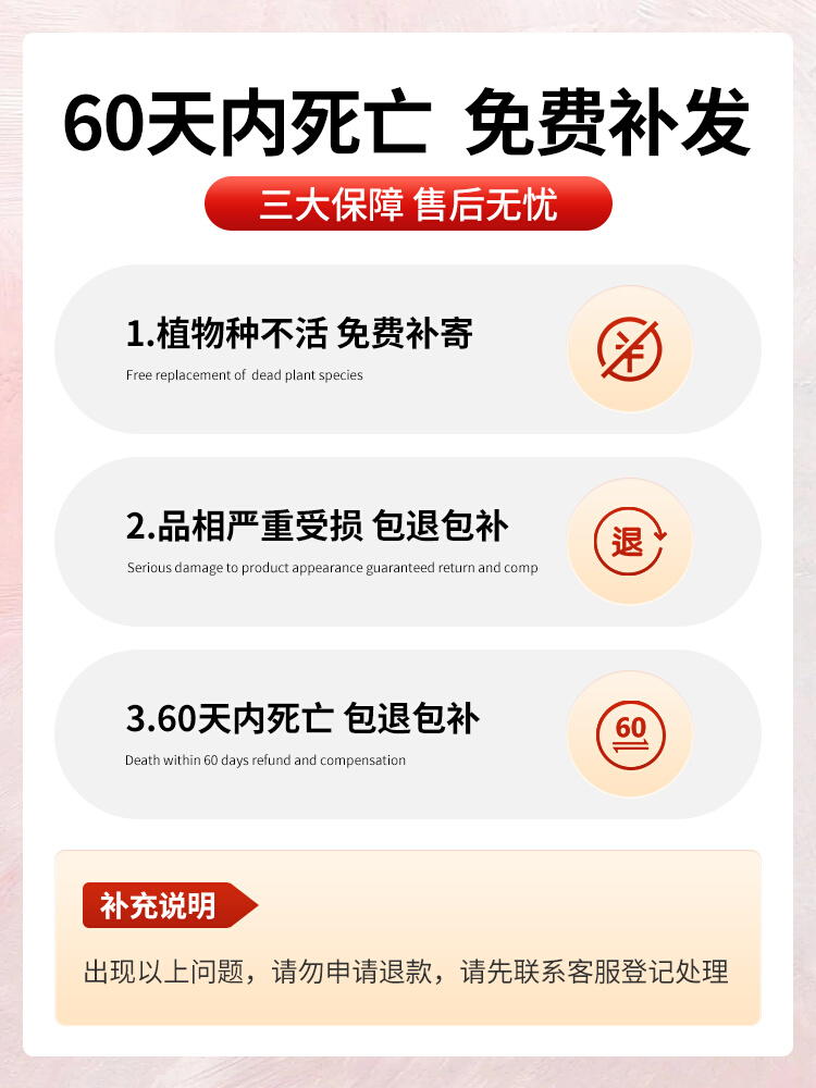 大叶绿萝柱绿植盆栽办公室内客厅四季好养大型花卉植物落地吸甲醛 - 图2