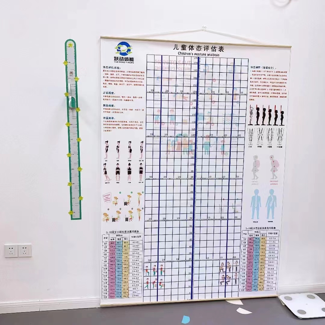 儿童身高体态评估表站姿体测网格壁画背景墙纸中小幼儿形体评估图