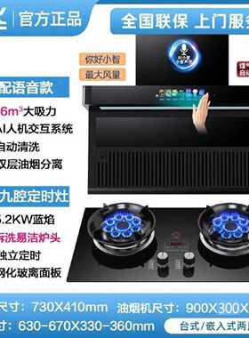 新飞抽油烟机燃气灶组合家用厨房AI语音控制烟灶套装猛火两件套