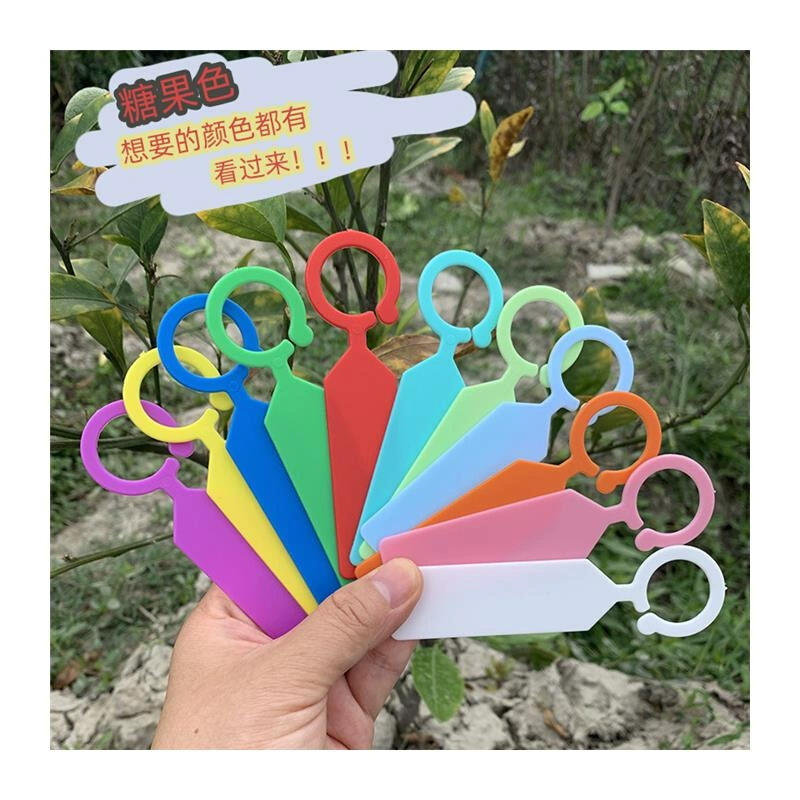 Thickened plastic label fruit tree hang tag ring set label ring buckle label mark plate grape melon fruit mark mark