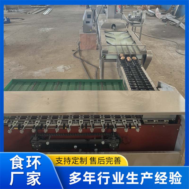 全自动单排洗蛋机 鸡鸭蛋全自动大型清洗风干设备 粪蛋清洗分级机,淘宝优惠券,粉丝福利购,淘宝优惠卷