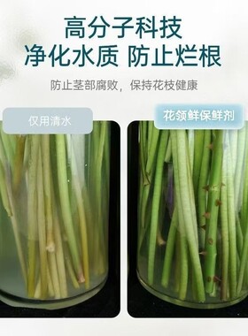 【养花】花领鲜养花专用园艺用品鲜花保鲜剂营养舒缓营养液通用