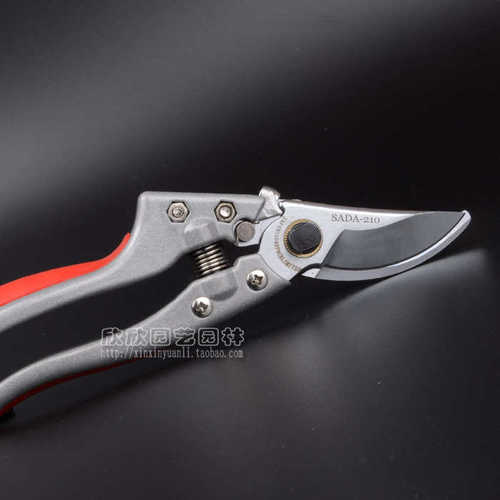 修枝剪 佐田进口花剪刀园艺修剪树枝果树剪子粗枝剪果修枝剪 - 图1