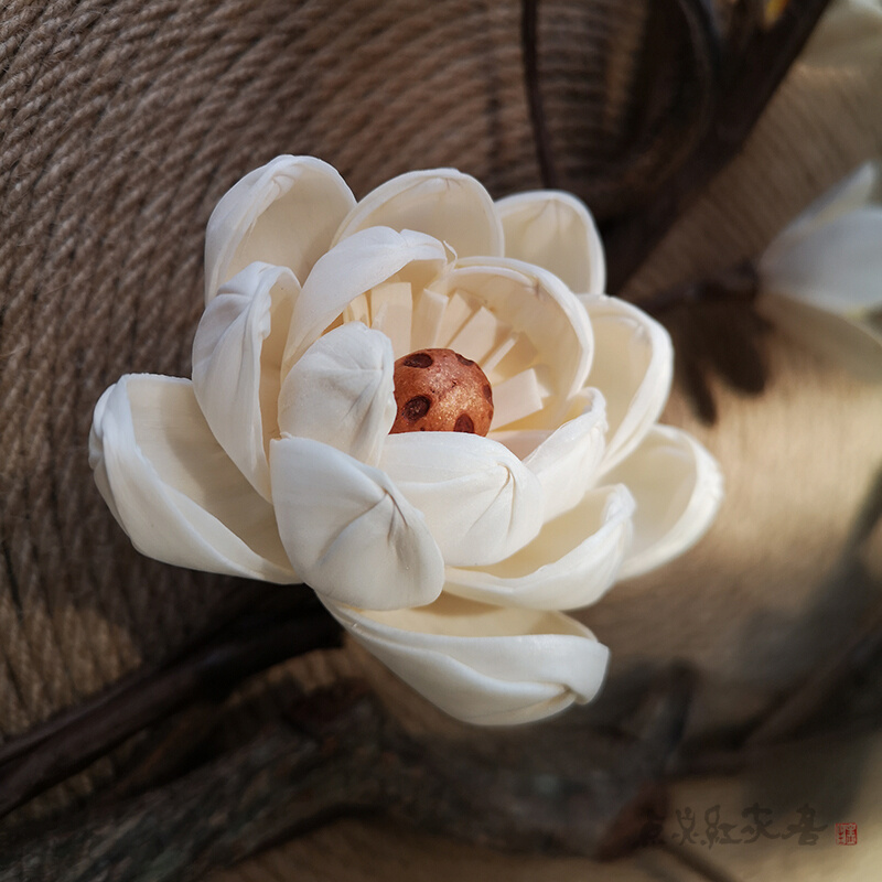 春暖花开麻绳圆形装饰画禅意新中式家居壁饰挂件干花玄关墙饰新品