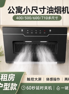 新飞小尺寸油烟机厨房家用侧吸窗式抽油烟机小型出租屋公寓大吸力