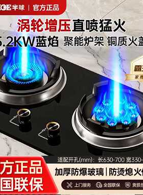 半球十三腔燃气灶家用直喷猛火双灶定时嵌入天然气液化气双灶