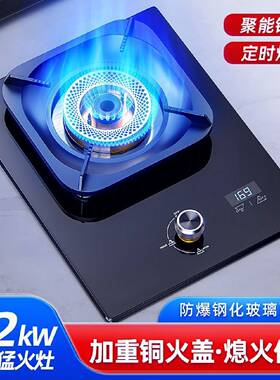 燃气灶厨房家用单灶2026新款煤气灶液化气天然气台嵌两用炉灶节能