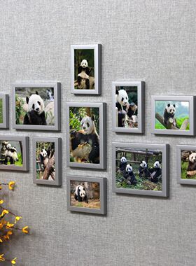保护动物国宝大熊猫照片写真壁挂画大幅海报装饰画照片墙挂墙相框