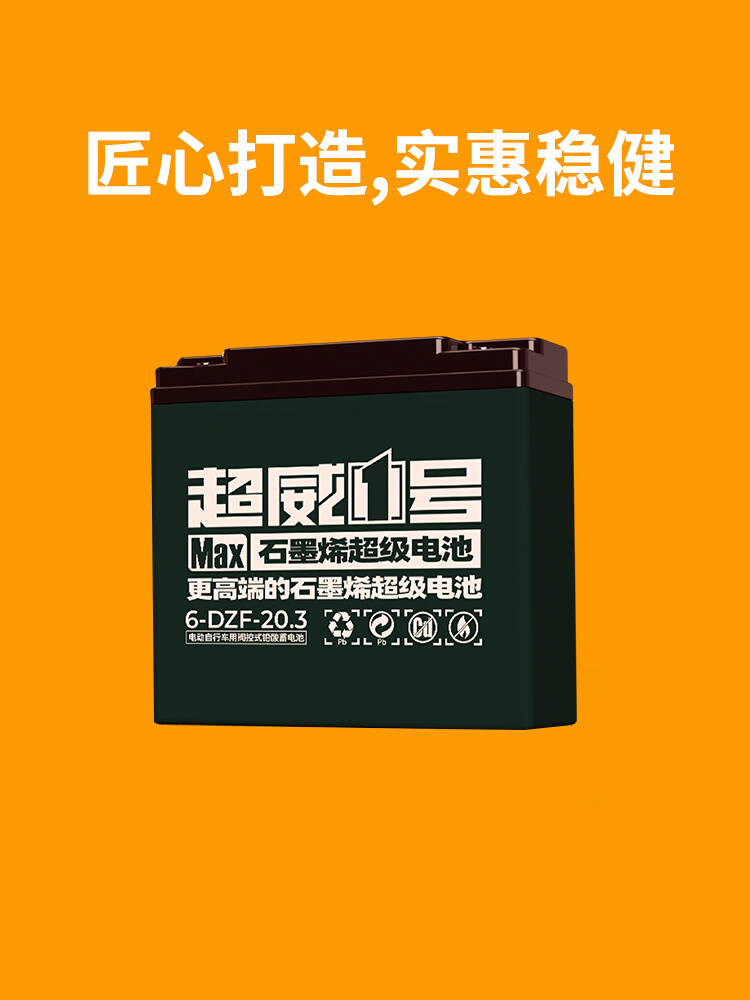 电池铅酸48V12A48V20A电动车三轮车电瓶60V20A72上门安装国标 - 图2