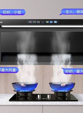 半球大吸力抽油烟机厨房家用新款7字型顶侧双吸出租房抽油烟机