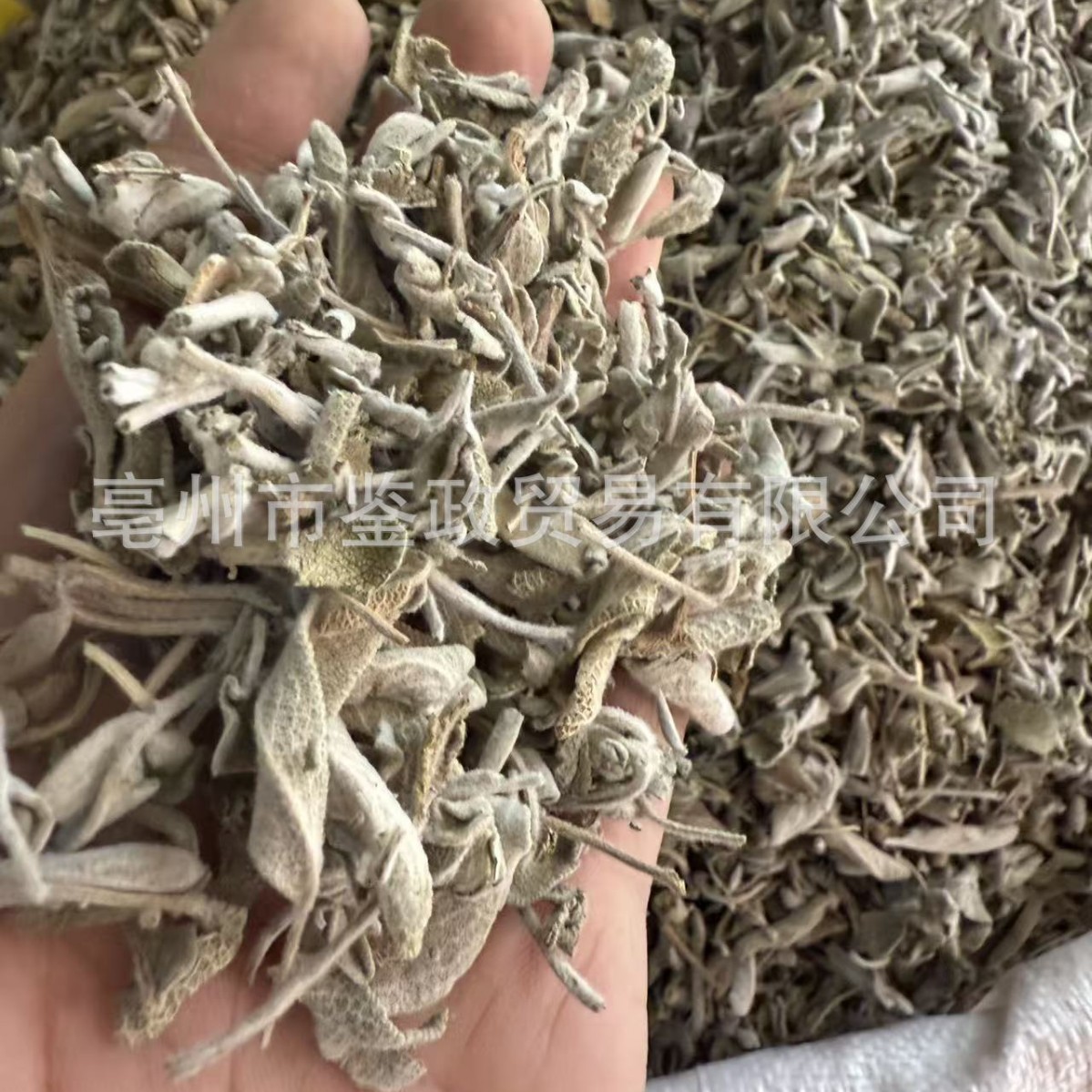 ขายส่ง ใบสะระแหน่สำหรับบำบัดด้วยกลิ่น บรรจุภัณฑ์ ใบสะระแหน่แห้งขนาดใหญ่ ใบสะระแหน่สับ พร้อมเครื่องปรุงอาหารตะวันตก
