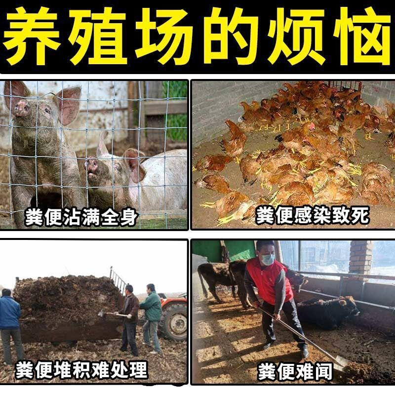 化粪池溶解剂旱厕卫生间下水道养殖场化粪剂分解生物微防返除臭剂 - 图0