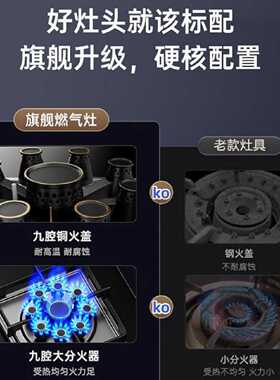 志高燃气灶煤气灶家用厨房不锈钢嵌入式猛火双灶台式炉具灶具天然