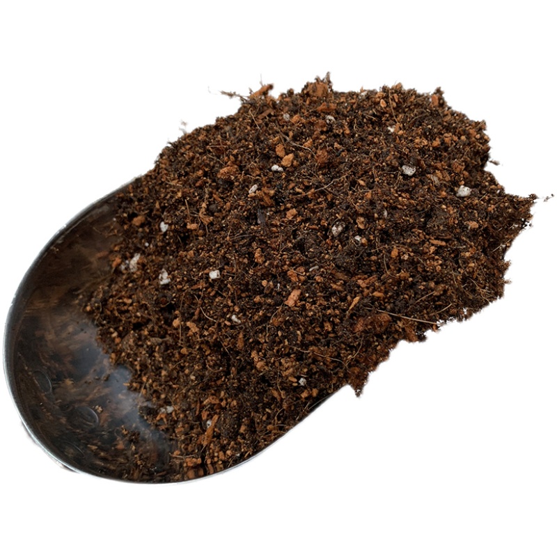 油画婚礼吊兰土油画婚礼专用土酸性土椰糠泥炭土壤种植营养土花肥 - 图3