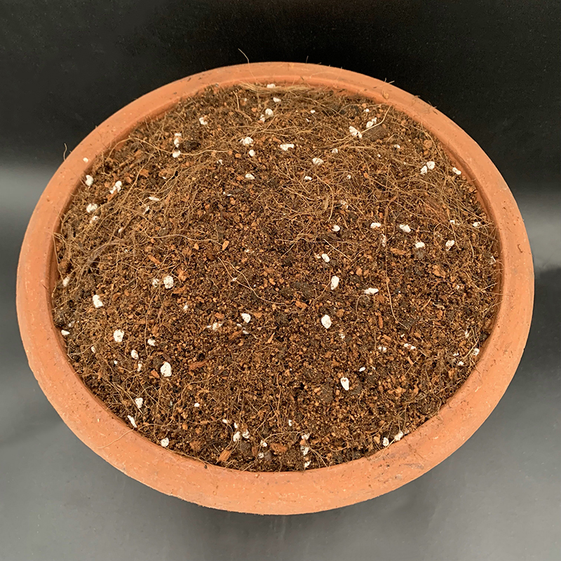 油画婚礼吊兰土油画婚礼专用土酸性土椰糠泥炭土壤种植营养土花肥 - 图1