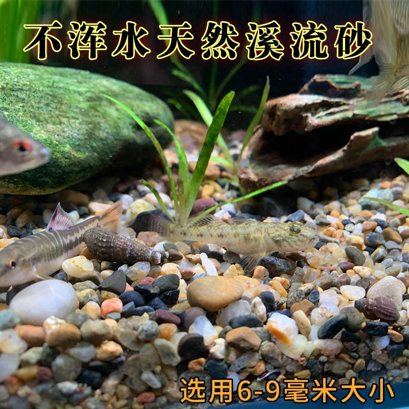 鱼缸底砂造景底沙水族水草装饰摆件套餐原生溪流石头子铺底夜光石 - 图0