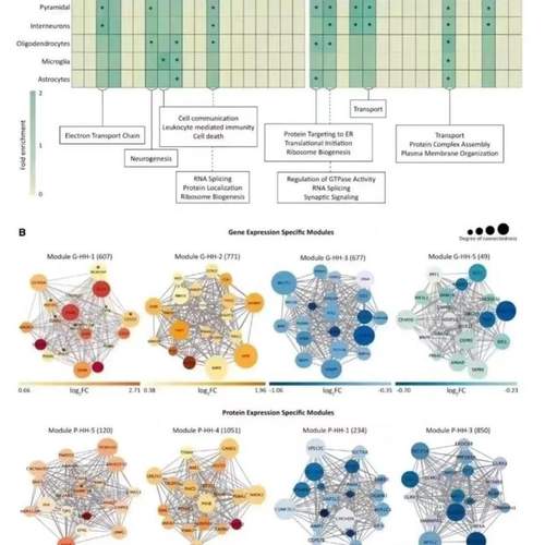 生信 生信分析 生物学 基因学 sci指导 卷积神经网络 matlab 求解 - 图2