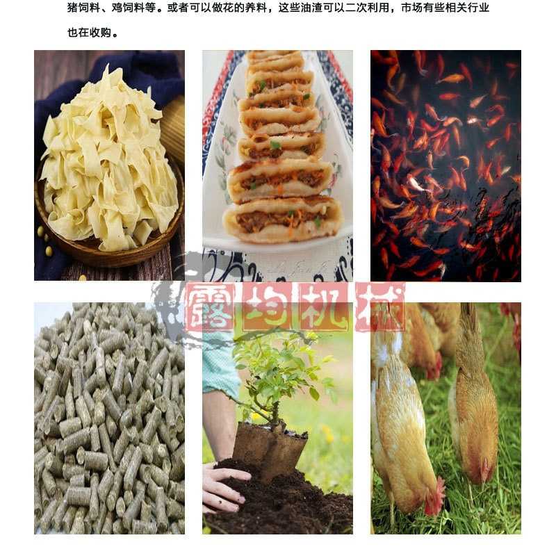 食用油精炼榨油机大型榨菜籽油设备 花生玉米油多功能油坊榨油机,淘宝优惠券,粉丝福利购,淘宝优惠卷