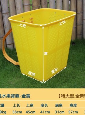 仿竹筐塑料大Y背篓夏季水果采收专用背篼小气孔透气型蔬菜淘洗i.