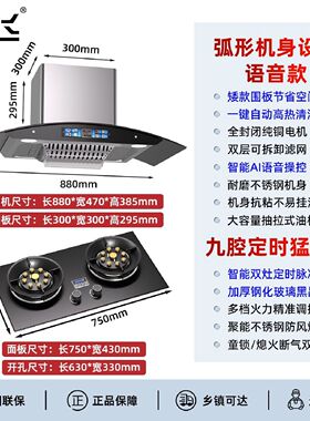 新飞家用弧形抽油烟机小户型厨房大吸力智能体感自动清洗烟机