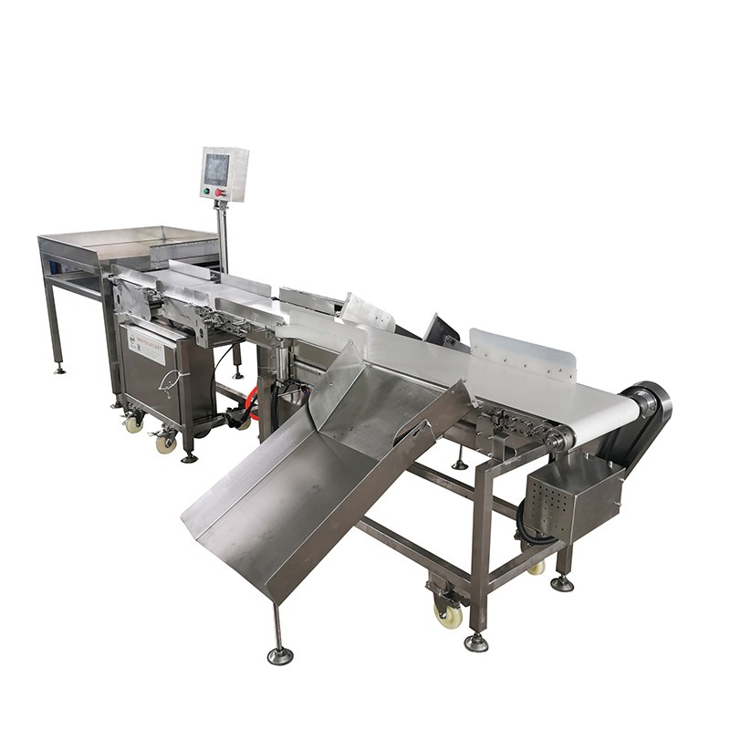 山东科宏皮带分选机单列 水果海鲜重量分选机 皮带式称重机检重秤,淘宝优惠券,粉丝福利购,淘宝优惠卷