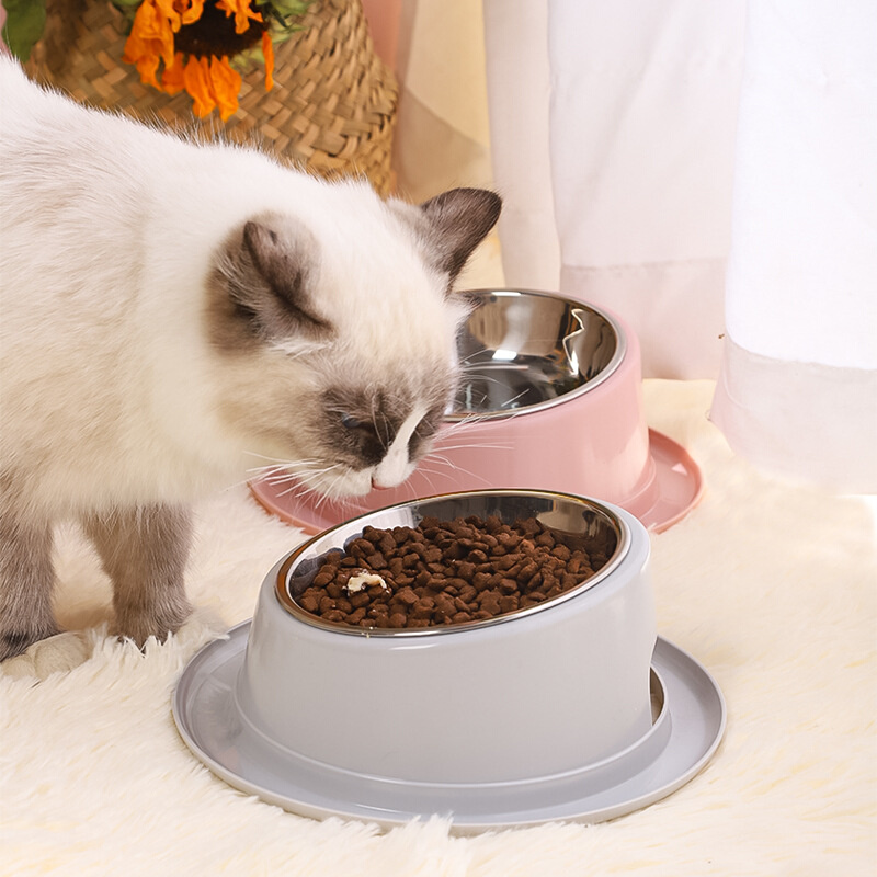 不锈钢宠物碗猫咪用品防打翻斜口碗防滑食具用品宠物食碗狗碗 - 图2