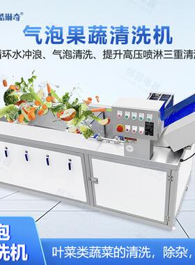 优选果蔬番茄叶菜类水果苹果李子气泡鼓泡式清洗机 生产厂家