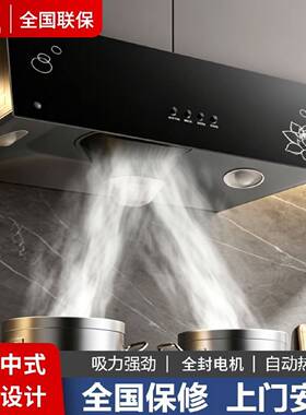 申花抽油烟机家用厨房大吸力中式欧式吸油烟机小户型出租房抽烟机