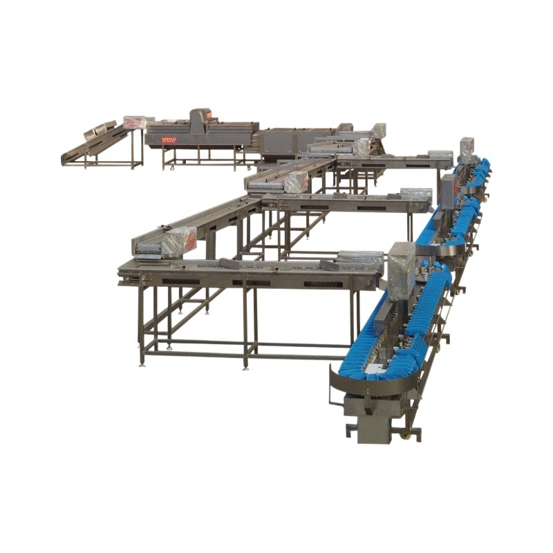 生蚝重量分选机 在线称重分选设备 牡蛎子大虾称重分选机,淘宝优惠券,粉丝福利购,淘宝优惠卷