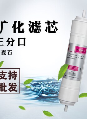 苏尔净水器11寸矿物质滤芯麦饭石纯水机通用型矿化滤芯 3分口快接
