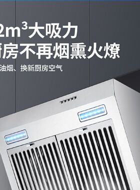 正品新飞家用油烟机小户型公寓出租屋厨房单灶吸油烟机小型侧吸式