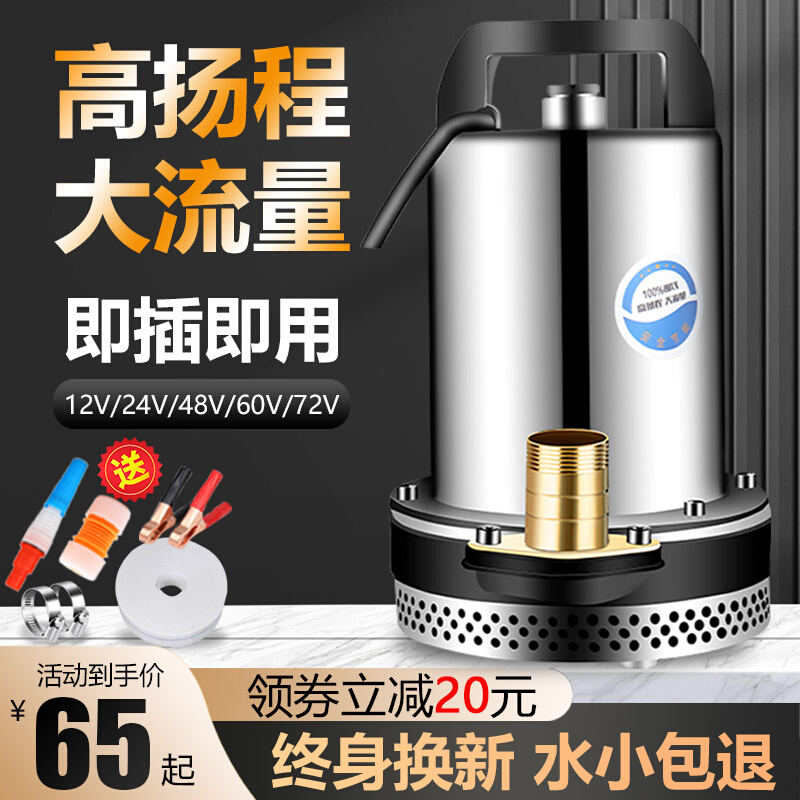 直流潜水泵12V24V48V60V电瓶车户外电动车水泵小型灌溉农用抽水机 - 图0