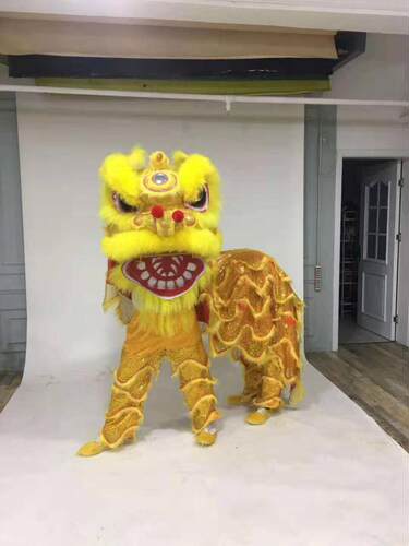 舞狮道具整套南狮醒狮佛山舞狮头双人成人北狮醒狮头用品 - 图2