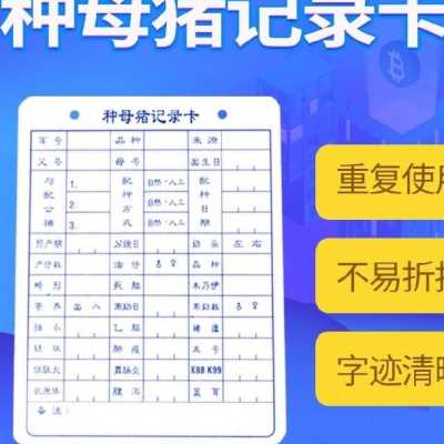 加厚种母猪记录卡双面分u娩档案养猪用畜牧设备加厚型检查管理 - 图0