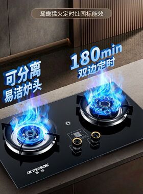 半球双灶分离炉头国标灶具煤气灶家用定时台嵌式液化气天然气猛火