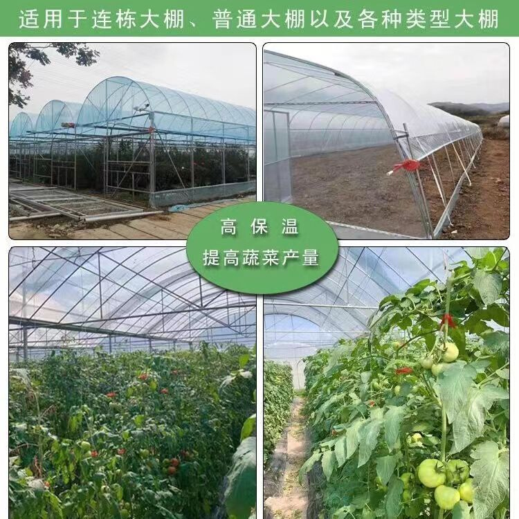 整卷大棚塑料膜抗老化农用薄膜高透光无滴膜保温塑料布葡萄专用膜-图1