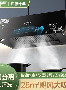 半球大吸力家用厨房抽油烟机出租屋小型吸油烟机中式顶吸式油烟机