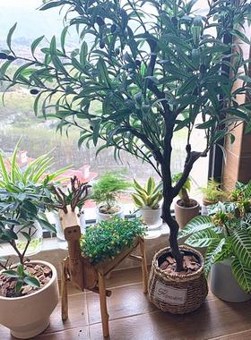 实木小鹿摆件创意多肉花盆庭院阳台花园布置橱窗幼儿园植物角装饰