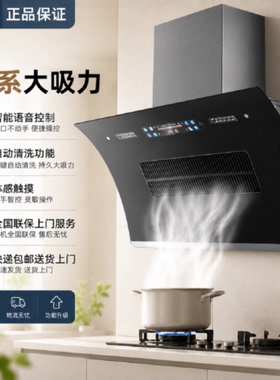 新飞油烟机厨房家用大吸力侧吸式强力抽风机出租房公寓抽油烟机