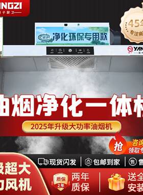 扬子抽油烟机厨房饭店农村柴火灶商用油烟机环保油烟净化一体机