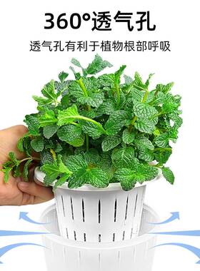 6个装 桌面自吸水懒人花盆新款多孔透气办公室园艺创意水培树脂盆