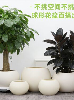 圆形简约家用塑料花盆加厚耐用阳台盆栽绿植发财树专用球形大花盆