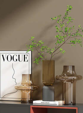 现代极简艺术高级感玄关柜软装摆件客厅悬空电视柜桌面绿植装饰品