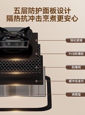 新飞家用厨房燃气灶台嵌两用双灶天然气液化气双腔猛火灶