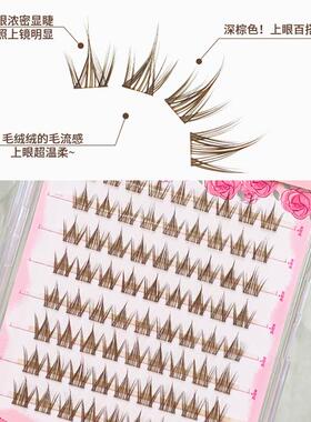 萌睫尚品5d可爱卷卷棕！免胶甜欲漫画睫超软分段式新手棕色假睫毛
