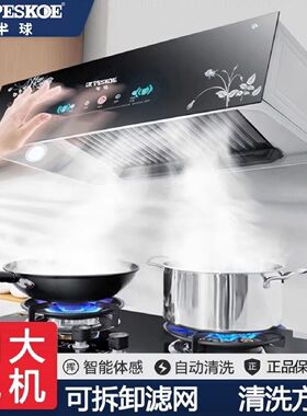 半球中式抽油烟机大吸力壁挂油烟机厨房家用顶吸油烟机出租屋老式