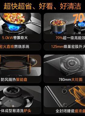 新飞天然气5.2kw燃气灶双灶家用台嵌两用灶具70高热效聚能