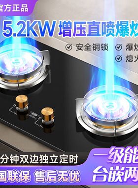 新飞家用燃气灶增压直喷猛火天然气液化气煤气灶嵌入台式定时双灶