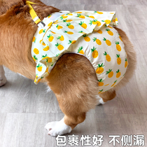 Pooch Menstrual God Instrumental Physiology Pants Mother Dog Kokie Farfight Great Aunt Sanitary Napkins Pets Menstrual Dog Aunt Pants