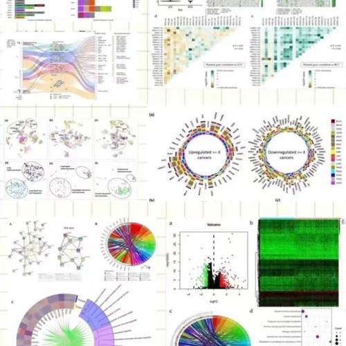 生信 生信分析 生物学 基因学 sci指导 卷积神经网络 matlab 求解 - 图0